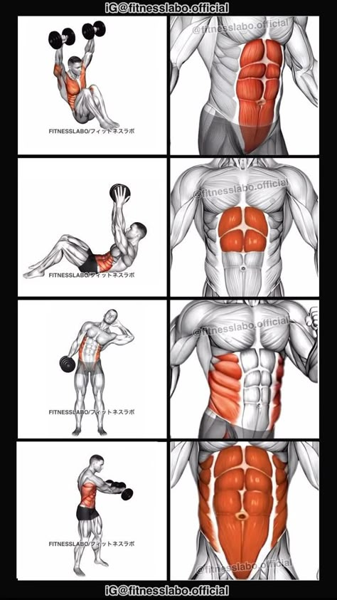 ✅ Abs Exercise Using Dumbbells ① Military Press Leg Raise ② Straight Arm Crunch ③ Side Bent ④ Spell Caster 3 sets 15 reps #fitness #gym #exercise #workout #workoutroutine #exercisetips #fitnesstips #bodybuilding #abs #absworkout Over 50 Exercise Plan Men, Different Arm Workouts, Dumbbell Arms And Back, And Workout Gym, Abs Weight Training, Dumbbell Side Raise, Exercise Using Dumbbells, Build Abs Muscle, All Abs Workout