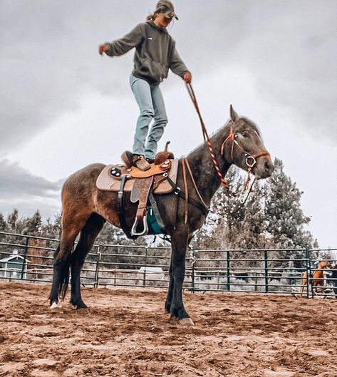 Pictures To Take With Your Horse, Barrel Racing Horses Pictures, Horseback Riding Outfit Western, Rodeo Wallpaper, Barrel Racing Aesthetic, Horse Photoshoot Ideas, Training Horses, Ranch Riding, Pictures With Horses