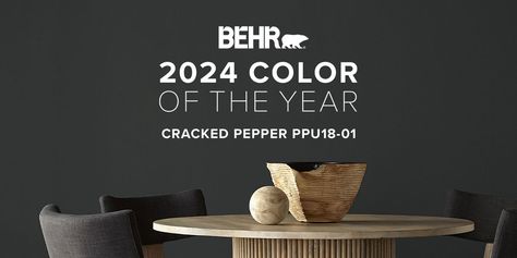 Color of the Year 2024 – Cracked Pepper | BEHR Paint Soft Black Paint Color, Cracked Pepper Behr, Moody Paint, Color Of The Year 2024, Behr Colors, Hallway Colours, Black Paint Color, Moody Decor, Black Interior Design