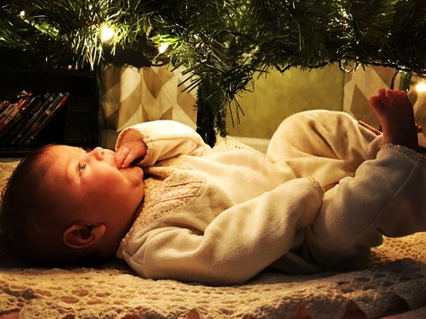 Baby Under Tree Picture, Baby 2024, Christmas Baby Pictures, Christmas Tree Pictures, Baby Picture Ideas, Under The Christmas Tree, Baby Photo Shoot, Christmas Pics, Baby Shoot