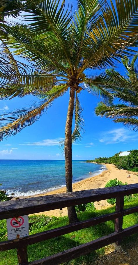 💚🌲PAISAJES🌲🌎 | Desde Rincón, Puerto Rico❤💋😍🌴🏖🏊🏄 | Facebook Tropical Caribbean, Puerto Rico Island, Tropical Places, El Yunque Rainforest, Puerto Rico Trip, Vacation Mood, Caribbean Island, Tropical Island, Island Vacation