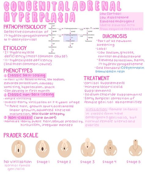 Adrenal Hyperplasia, Pediatric Nursing Study, Congenital Adrenal Hyperplasia, Aesthetic Medical, Medical Notes, Ultrasound Technician, Nursing School Essential, Nurse Study Notes, Pa School