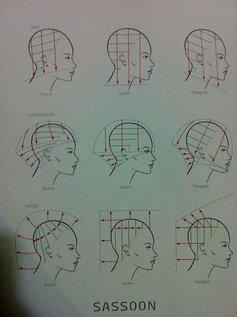 Hair Placement Diagram, Haircut Diagram, Long Layered Haircut Diagram, Haircut Diagram Korean, Haircut Sectioning Diagram, Hair Structure Diagram, Hair Science, Hair Cut Guide, Hair School