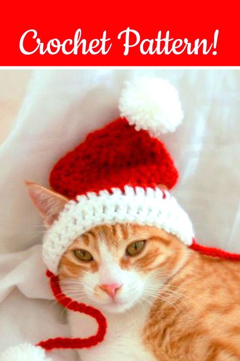 Cat santa hat Crochet pattern, crochet christmas dog hat, christmas crochet pattern, funny crochet christmas #crochetchristmas #crochetpattern #handmade Crochet Santa Hat For Cat, Cat Santa Hat Crochet Pattern, Cat Christmas Hat Crochet, Crochet Cat Christmas Hat, Santa Hat For Cats Crochet, Crochet Dog Santa Hat, Crochet Cat Santa Hat Free Pattern, Crochet Dog Santa Hat Free Pattern, Crochet Pet Hats Free Pattern