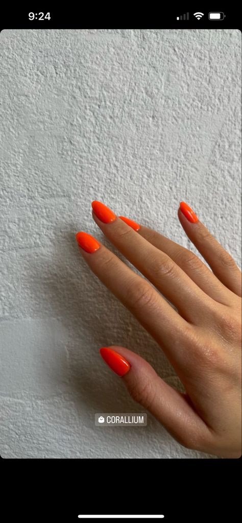 Neon Orange Acrylic Nails, Orange Neon Nails, Neon Orange Nails, Orange Acrylic Nails, Chestnut Springs, Neon Nails, Orange Nails, Neon Orange, Chestnut