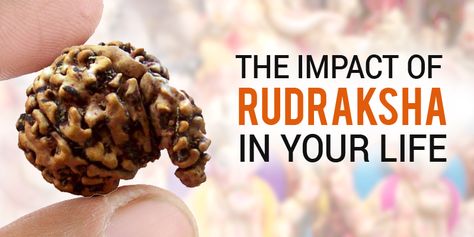 To Know The Impact Of Rudraksha in Your Life, Please Check Out The Link… Lord Shiva, Shiva, Beads