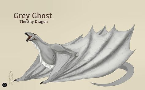 Mati | ~•~•~•~•~•~•~•~•~•~•~•~•~•~•~•~•~•~•~•~•~•~•~•~•~•~•~•~ Grey Ghost was pale grey-white, the color of morning mist. He was a notably shy… | Instagram Ghost Dragon, Grey Ghost, Game Of Thrones Dragons, Shadow Dragon, Got Dragons, Fire And Blood, Targaryen Art, Morning Mist, Snow Ice