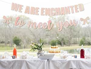 We are Enchanted to Meet You Banner, pink glittery Happy Birthday Party Supplies, Enchanted to Meet You Themed Baby Shower Party Decorations Decor Supplies We Are Enchanted To Meet You Baby, Enchanted To Meet You, Enchanted To Meet You Baby Shower Theme, Wild Flower Baby Shower, Baby Shower Songs, Script Banner, Fairytale Baby Shower, Butterfly Cupcake Toppers, Tall Letters