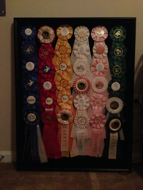 Horse show ribbon shadow box... I had this done so I could still have a few of the hundreds of ribbons from shows. #shadowbox #horse #ribbon #show #riding #hunter #jumper Shadow Box Ribbon Display, Shadow Box Horse Show Ribbons, Horse Ribbon Shadow Box Ideas, Dog Show Ribbons, Award Ribbon Display, Horse Ribbon Display, Show Ribbon Display, Horse Show Ribbons, Horse Ribbons