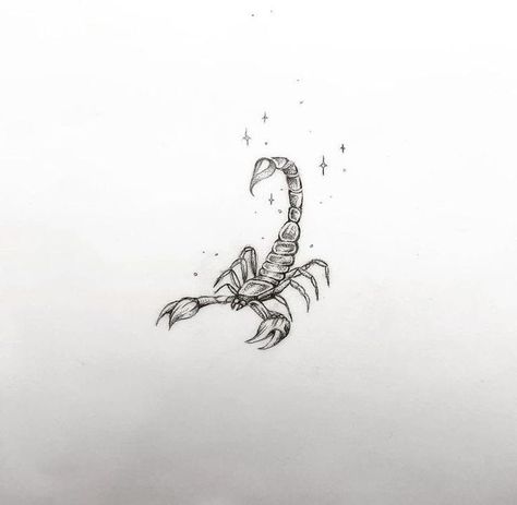 Matching Scorpion Tattoo, Scorpion Feminine Tattoo, Tiny Scorpion Tattoo Design, Scorpio Moon Tattoo Ideas, Scorpion Tattoo Fine Line, Feminine Scorpion Tattoo Ideas, Scorpion Tattoo Design Feminine, Scorpion Tattoo Feminine, Scorpio Zodiac Tattoos