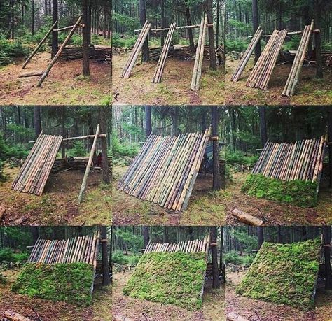 Camping | Survival | Prepping on Instagram: “The building of a shelter! Can you build this? Comment below! - Dm for credit” Shelters In The Woods, Outdoor Forts, Bushcraft Shelter, Camping Shelters, Retro Camping, Camping Kit, Survival Life Hacks, Bushcraft Camping, Survival Shelter