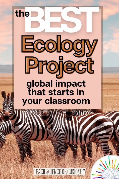 Let me tell you about my absolute favorite Ecology project for my High School students. It is an ecology project that gives students choice in what they research, an actual problem to solve, real world issues to consider, and total creativity in how they solve the problem. Project based learning at its best! Zoology Project Ideas High School, Biomes Project, Biology Teaching, Ecology Projects, Ap Environmental Science, High School Project, School Biology, Teachers Toolbox, Ecology Design