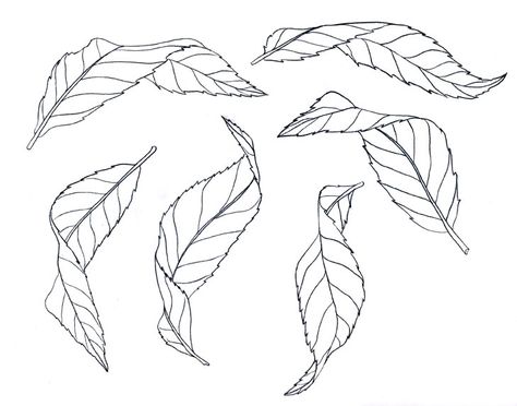 Folded Leaves Drawing, How To Draw Leaf, How To Draw A Leaf, How To Draw Leaves, Tree Leaf Drawing, Leafs Drawings, Tree Leaves Drawing, Leave Drawing, Leaf Drawings