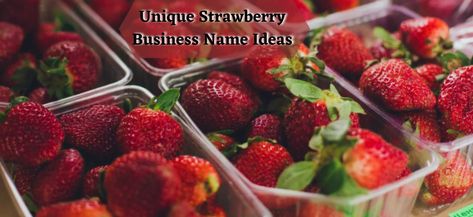 One of the most challenging parts of starting a business is coming up with a name. This can be especially tough if you are looking for a potentially good business name. This post is meant for you if you need some ideas to help your strawberry company fly. A distinctive name is critical for your […] The post 799+ Unique Strawberry Business Name Ideas That Grow Profits appeared first on Give a Good Name. Strawberry Business Name Ideas, Strawberry Business, Dessert Names, Fundraiser Baskets, Business Name Ideas, Strawberry Farm, Name Ideas, Chocolate Shop, A Name