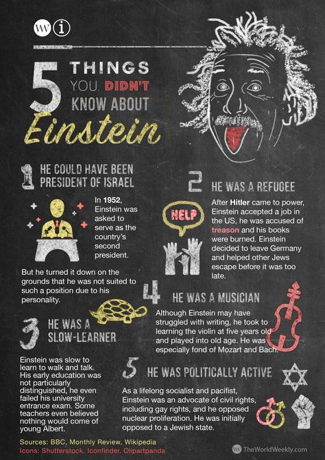 Albert Einstein Projects, Facts About Albert Einstein, Einstein Project, Albert Einstein Facts, Eyes Facts, About Albert Einstein, Wax Museum Project, Albert Einstein Poster, Biography Project