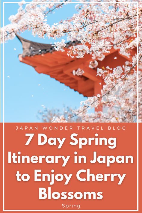 Spring Season Activities, Types Of Cherries, Tokyo Imperial Palace, Japan Cherry Blossom, Japan Spring, Cherry Blossom Japan, Osaka Castle, Seasons Activities, Japan Itinerary