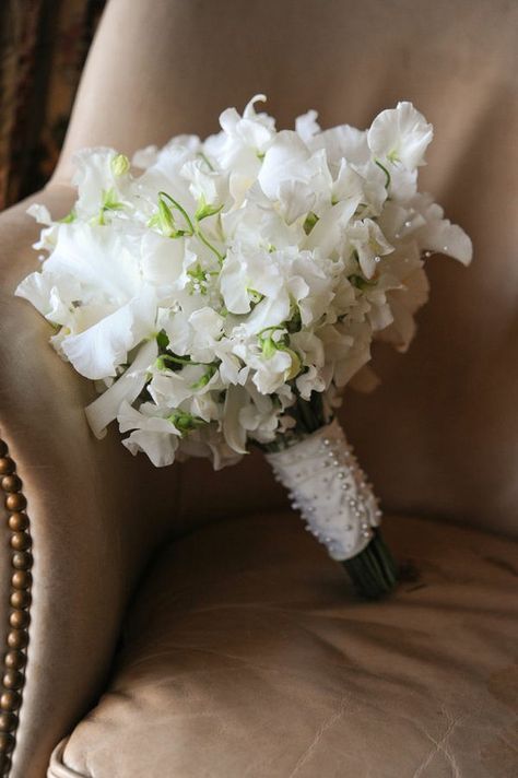 Bouquet Sweet Pea Bouquet, Bridal Bouquet Coral, Vintage Bridal Bouquet, White Bouquets, Plant Wishlist, Scottsdale Wedding, Unusual Weddings, Favourite Flowers, Flower Guide