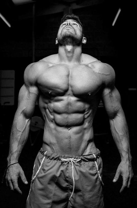 Gym Aesthetics, Fitness Wallpaper, Bodybuilding Pictures, Gym Guys, Muscle Anatomy, Male Fitness Models, Fitness Inspiration Body, Body Builder, A Gym