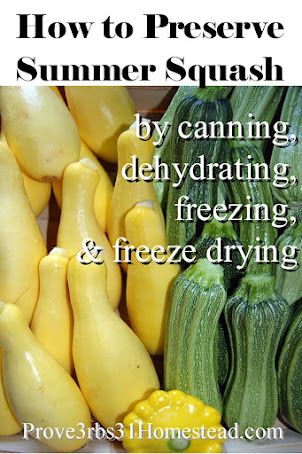 Freeze Squash, Freezing Yellow Squash, Squash Flour, Freezing Squash, Canned Squash, Zucchini Relish, Frozen Butternut Squash, Frozen Summer, Pickling Salt