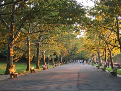 Riverside Park Nyc, Central Park Aesthetic, Museum Natural History, Fashion Intern, Williamsburg Bridge, Beautiful Parks, Staten Island Ferry, Bronx Zoo, 500 Days Of Summer