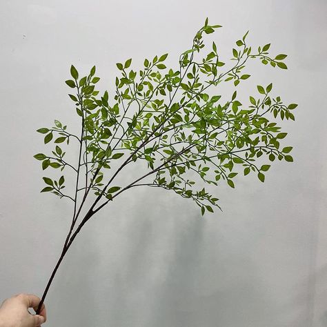 PRICES MAY VARY. [GREENY STEMS SIZE]: Each long stems silk greenery leaves is about 106cm / 41.7inch tall. And there are 3/6 Pcs Eucalyptus stems on each package. Adding a great pop of greenery to your space. [UNIQUE DESIGN]: Artificial Nandina branch is pure manual work, Bright greeny Foliage, which has a fine visual effect and handfeel. The degree of simulation is very realistic, The texture of branches and leaves is quite clear, every place is perfectly carved out [RELIABLE MATERIAL]: Artific Vase With Branches, Faux Branches, Artificial Greenery, Flower Vase Arrangements, Bouquets Wedding, Floral Arrangements Wedding, Wedding Flower Arrangements, Fake Plants, Floral Arrangement