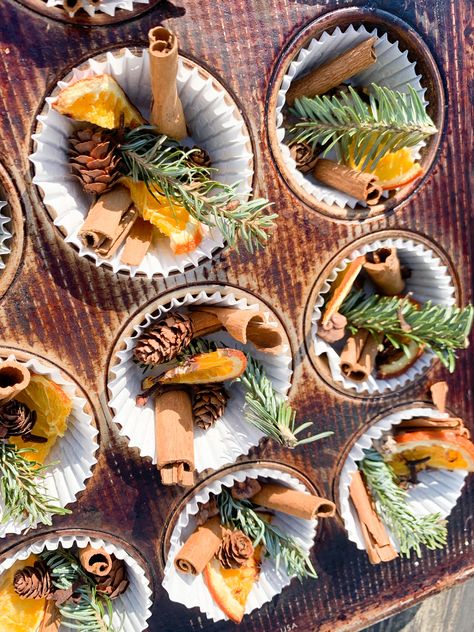 Pine Cone Fire Starter Diy How To Make, How To Make Scented Fire Starters, Natural Fire Starters, Wax Fire Starters How To Make, Diy Fire Starters For Wood Stove, Beeswax Fire Starter, Scented Fire Starters Diy, Dried Orange Crafts, How To Make Fire Starters