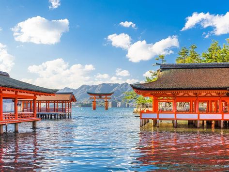 Itsukushima Shrine Itsukushima Shrine, Hitachi Seaside Park, Beautiful Places In Japan, Japan Bucket List, Clear Beaches, Japanese Village, Seaside Park, Himeji Castle, Hakodate