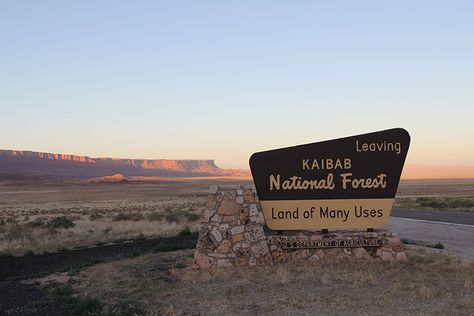 Reservation Aesthetic, National Park Sign, Navajo Reservation, Vintage National Park, Future Shop, Entrance Sign, New Branding, Adventure Art, Forest Service