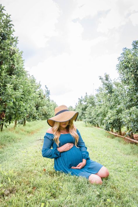 Maternity Photography Apple Orchard, Orchard Maternity Photoshoot, Apple Orchard Maternity Photoshoot, Orchard Maternity Pictures, Apple Orchard Maternity Photos, Pumpkin Maternity Photos, Orchard Photography, Fall Maternity Shoot, Maternity Photography Fall