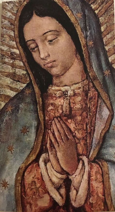 Assumption Of Mary, Virgin Mary Art, Mother Mary Images, Mexican Culture Art, Virgin Of Guadalupe, Mama Mary, Queen Of Heaven, Jesus And Mary Pictures, Catholic Images