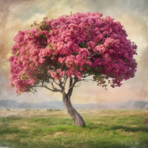 colored-bougainvillea-tree-in-rustic - Magic art Bougainvillea Painting Watercolors, Bougainvillea On Wall, Bougainvillea Botanical Illustration, Bougainvillea Wall Mural, Bougainvillea Wall Art, Bougainvillea Tree, Rustic Painting, Cute Cats Photos, Rustic Frames