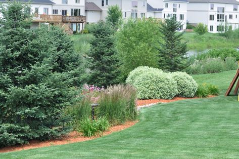 Zone 7 Landscaping Front Yards, Artificial Garden Plants, Conifers Garden, Evergreen Landscape, Small City Garden, Landscaping Around Trees, Sloped Yard, Artificial Plants Indoor, Privacy Landscaping