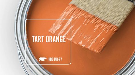 Burnt Orange Paint Colors, Burnt Orange Paint, Orange Paint Colors, Fence Stain, Behr Paint Colors, House Updates, Behr Paint, Paint Sheen, Orange Paint