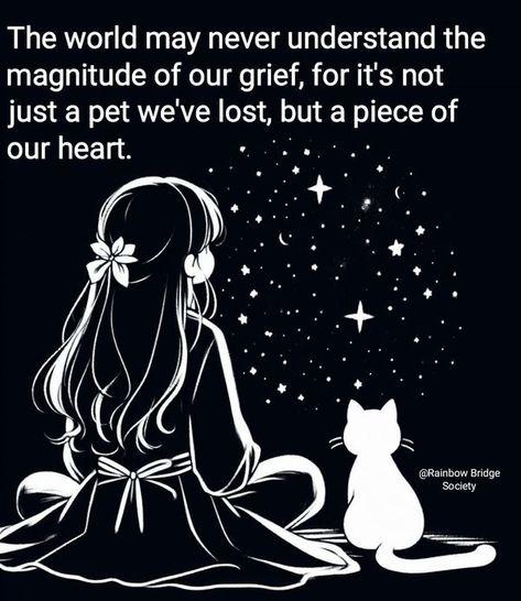 Quotes About Losing A Cat, Cat Memorial Quotes, Losing A Pet Quote Cat, Losing Your Cat, Losing A Cat Quote, Losing A Cat, Losing Your Pet, Loss Of A Cat, Pet Quotes Cat