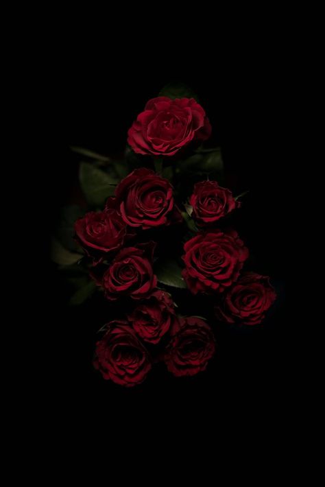 In The Dark, Black Background, Red Roses, Roses, Wallpapers, Iphone, Red, Black