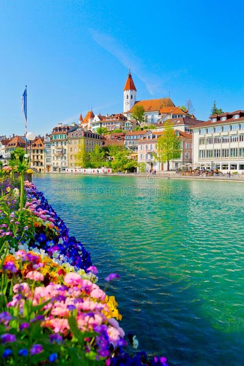 Beautiful Thun city, Lake Thunersee, swiss alps, Switzerland royalty free stock photography Switzerland City, Swiss Alps Switzerland, Thun Switzerland, Lake Thun, Switzerland Photography, Alps Switzerland, Switzerland Vacation, Switzerland Cities, Vector Typography