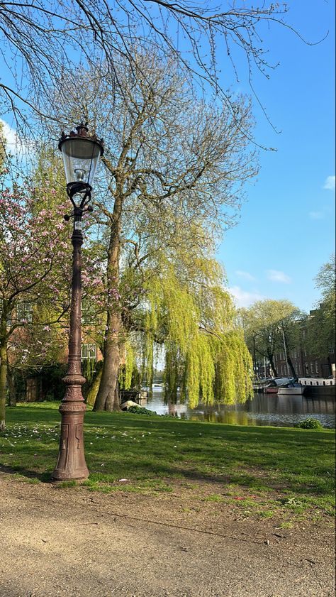 #amsterdam #park #greenery Amsterdam Life, Amsterdam