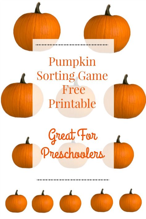 This fun Pumpkin Sorting Game is a Pre-K activity for sorting pumpkins by size, ordering them from big to small and from small to big! Comparing size for kids is an important skill to learn. It teaches little ones that each object belongs to a group which requires using logical thinking. Pumpkin Size Sorting, How Many Pumpkins Tall Are You, Big And Small Activities Preschool, Pumpkin Templates Free, Skill To Learn, Pumpkin Games, Types Of Pumpkins, Preschool Activities Printable, Halloween Week