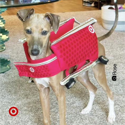 Target cart costume: check! Dress your pet in this iconic costume & make their Halloween un-fur-gettable. The soft fabric will keep your cat or dog comfy during trick-or-treating. Psst! Get the Target basket costume for adults & go as the cutest duo. Target Shopping Cart, Target Cart, Target Basket, Halloween Target, Diy Group Halloween Costumes, Target Shopping, Full Body Costumes, Happy Tails, Cute Hoodie