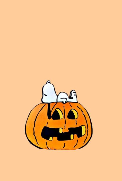 Snoopy Fall Wallpaper – Charlie Brown Halloween Pumpkin Wallpaper Halloween Wallpaper Iphone - davidreed.co Snoopy Laying On Pumpkin, Snoopy October Wallpaper, Snoopy On Pumpkin, Fall Peanuts Aesthetic, Simplistic Halloween Wallpaper, Cute Halloween Wallpaper Snoopy, Fall Wallpaper Cute Cartoon, Cute Fall Pictures Backgrounds, Cute Fall Snoopy Wallpaper