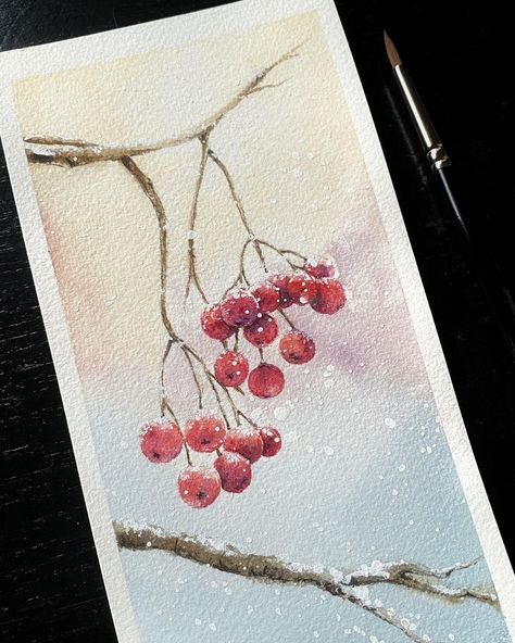 Winter Berries Watercolor, Winter Flower Painting, Santa Label, Berries Watercolor, Diy Watercolor Cards, Rowan Berries, Christmas Berries, Winter Berries, Aqua Art