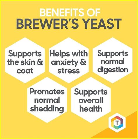 Brewers Yeast Benefits, Liver Supplements, Intimacy Quotes, Chewable Vitamins, Healthy Kidneys, Liquid Vitamins, Liquid Supplements, Brewers Yeast, Oils For Dogs