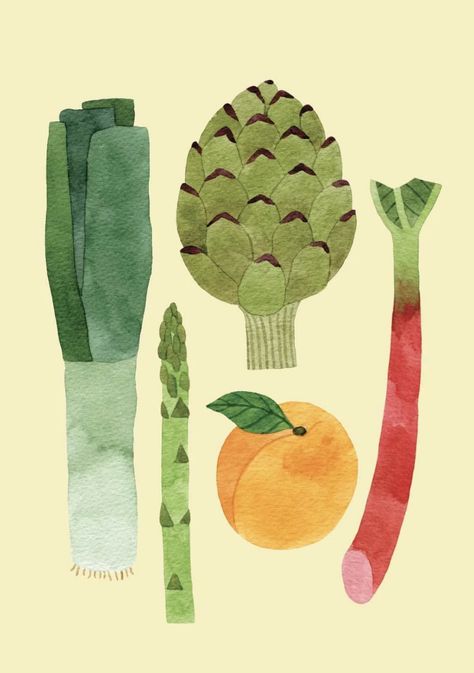 Fruit Market Design, Artichoke Drawing, Foodie Illustration, Best Sister Ever, Fruit Market, Best Sister, Drawings Simple, Food Illustration, Art Wall Kids