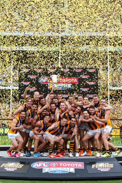 Back to Back to Back!  Threepeat!  Go Hawks! Hawthorn Football Club, Hawthorn Hawks, Best Football Team, Best Club, Pro Cycling, World Of Sports, Hawks, Sport Event, Football Team