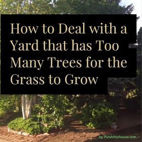 No Grass Landscape Ideas, Landscaping Ideas For Areas Where Grass Wont Grow, Front Yard Shed Ideas, Ideas For Where Grass Wont Grow, Ideas For Areas Where Grass Wont Grow, No Grass Landscaping Ideas, Landscape Ideas Where Grass Won't Grow, Yard Ideas Where Grass Wont Grow, Backyard Ideas Where Grass Wont Grow