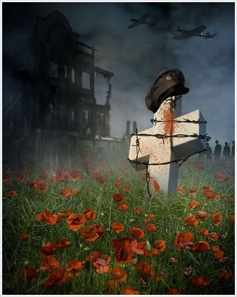 Lest We Forget Remembrance Day Quotes, In Flanders Fields, Remembrance Day Art, Remembrance Day Poppy, Sunday Photos, Field Art, Flanders Field, Remembrance Sunday, Armistice Day