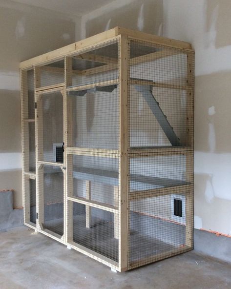 Cat Enclosure In Garage, Garage Cat House, Cat Litter Box In Garage, Cat Litter Box Garage Enclosure, Cat Garage Ideas, Garage Cat Enclosure, Indoor Raccoon Enclosure, Diy Indoor Cat Enclosure, Garage Litter Box Enclosure