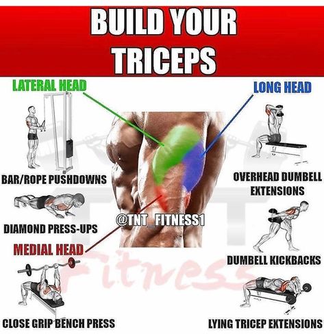 Tricep Workout Routine, Tricep Exercises, King Warrior, Workout Gym Routine, Football Workouts, Hiit Cardio Workouts, Tricep Extension, Gym Tips, Credit Tips