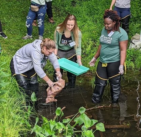 Madison attended this years NAFEA (North American Forensic Entomology Association) Meeting in Oak Ridge, NJ! This conference included a hands-on aquatic forensic entomology workshop! Forensic Odontology, Forensic Biology, Forensic Nursing, Forensic Pathology Career, Forensic Entomology, Student Presentation, Graduate Program, Forensic, Hands On