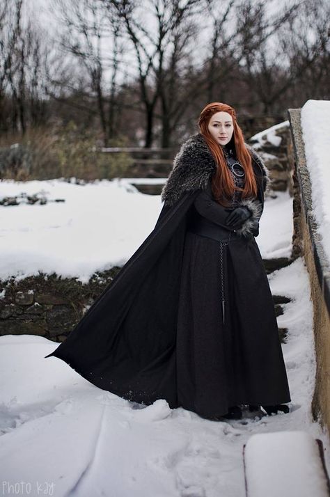 Sansa Stark Dress, Stark Dress, Sansa Stark Costume, Sansa Stark Cosplay, Fair Costume, Dragon Drawings, Game Of Thrones Cosplay, Game Of Thrones Costumes, Cosplay Art